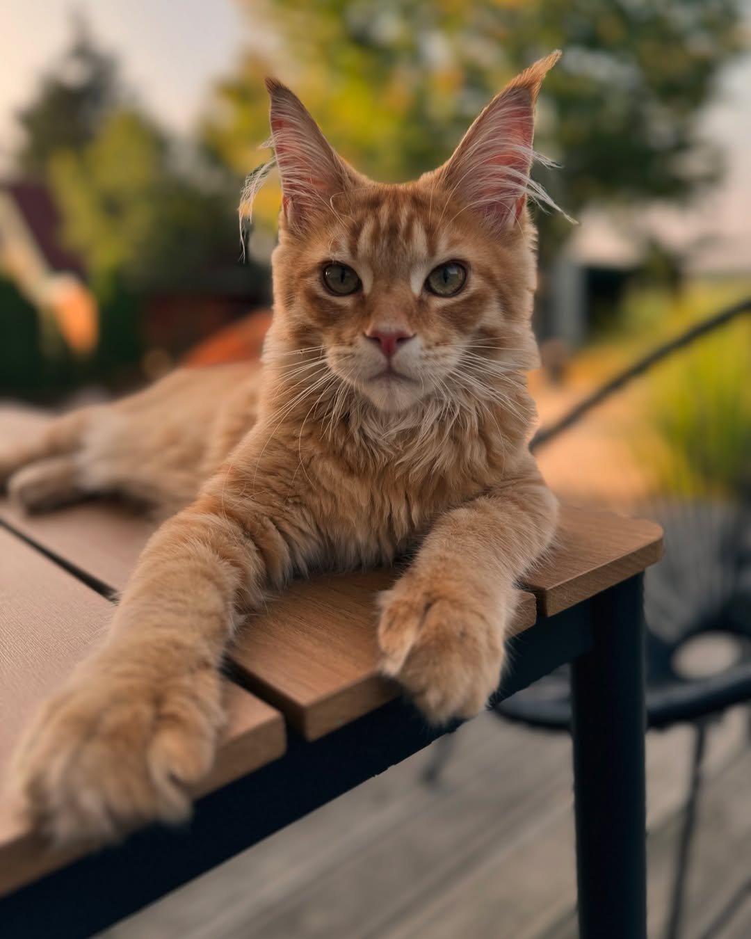Mení sa prcek pred očami, z guličky sa vytiahol a za chvíľu tu bude šéfovať. Už sa díva akú lump